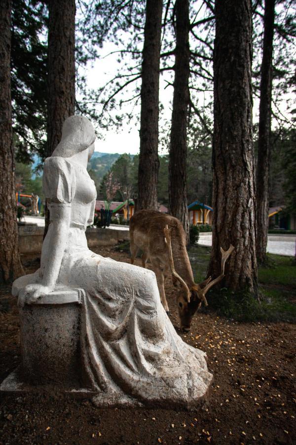 Te'Dreri - Llogora Tourist Village Dhërmi Dış mekan fotoğraf